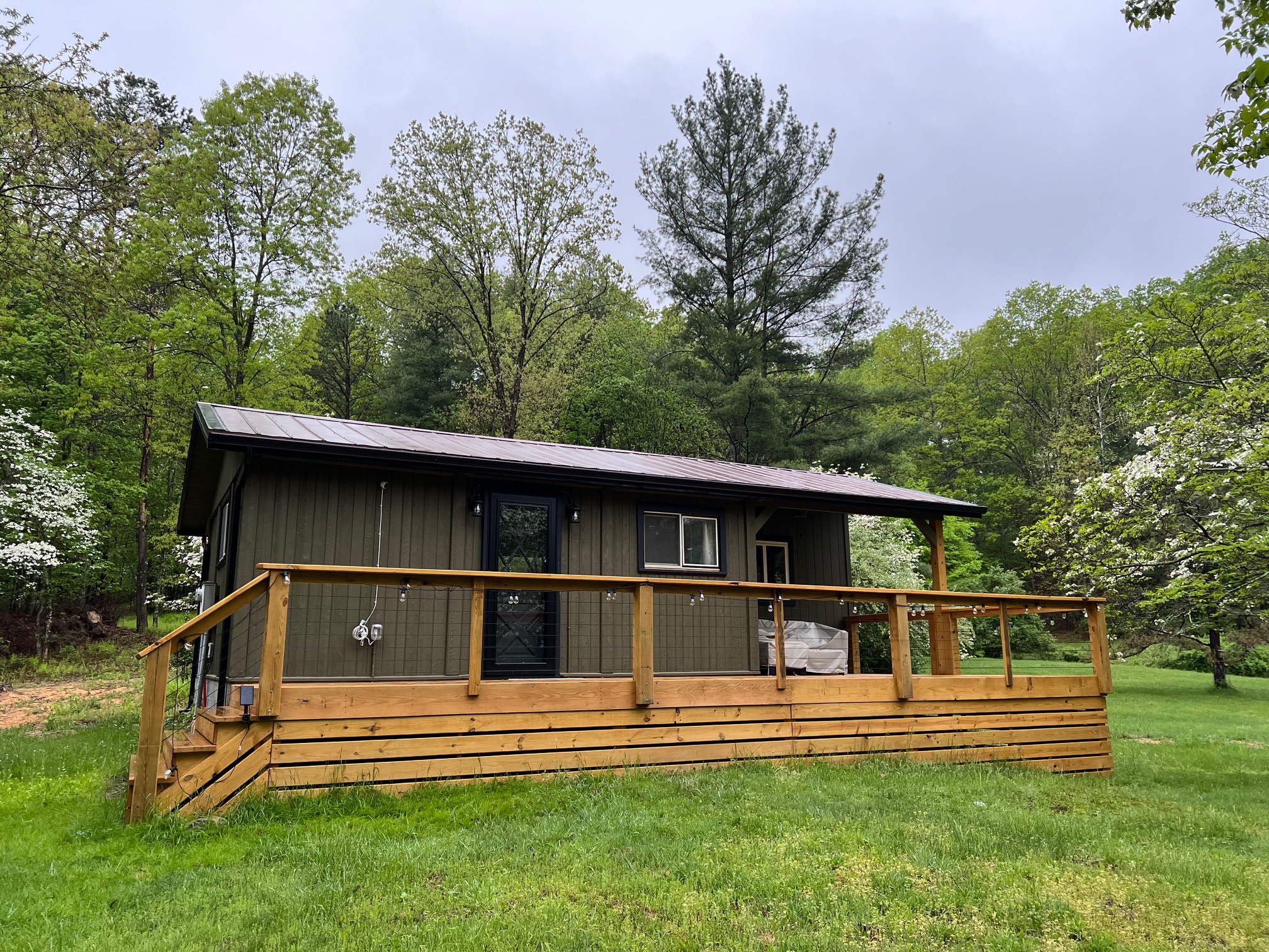 Blue Fern Tiny Cabin exterior