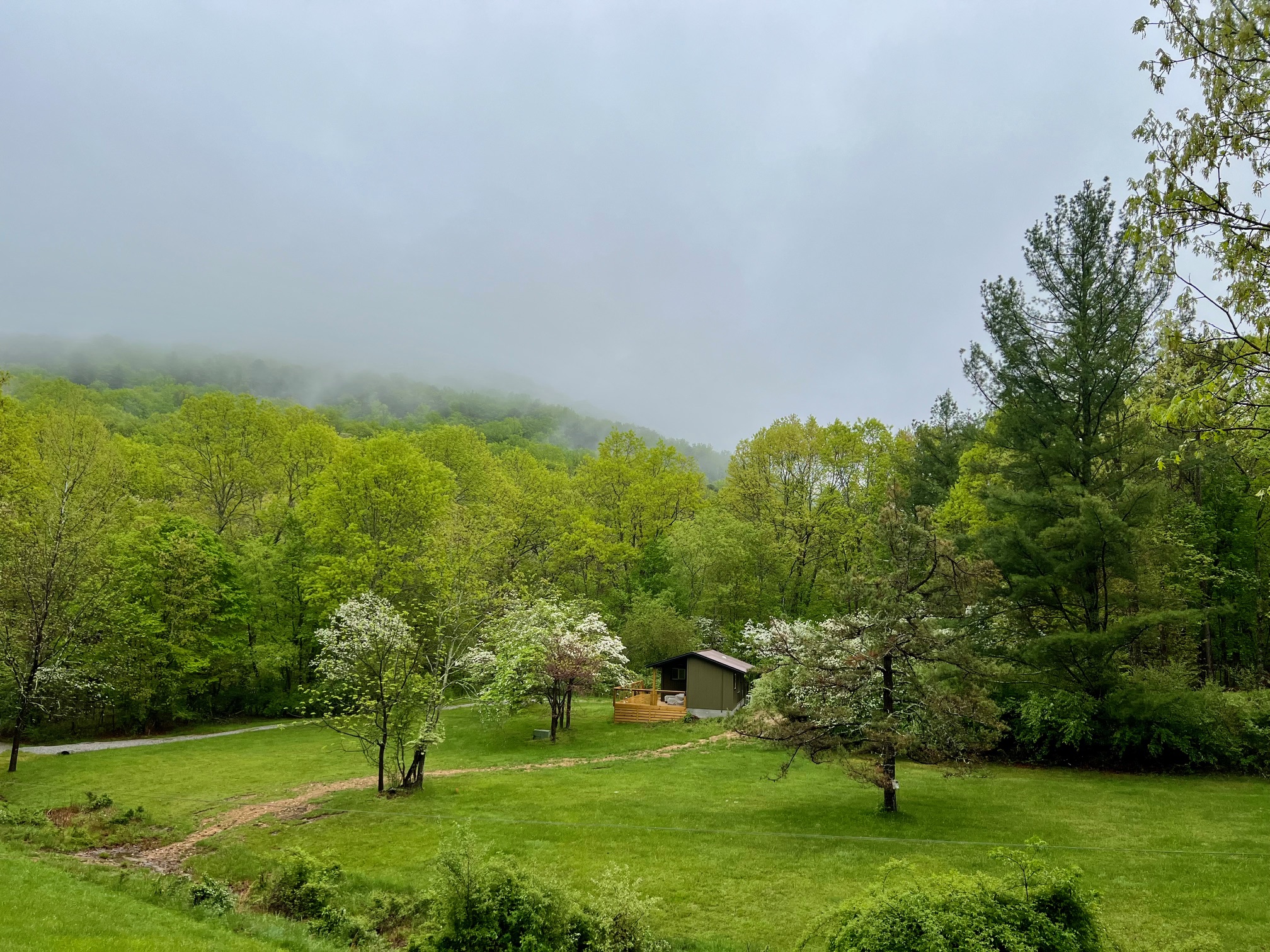Cabin meadow — perfect for dogs